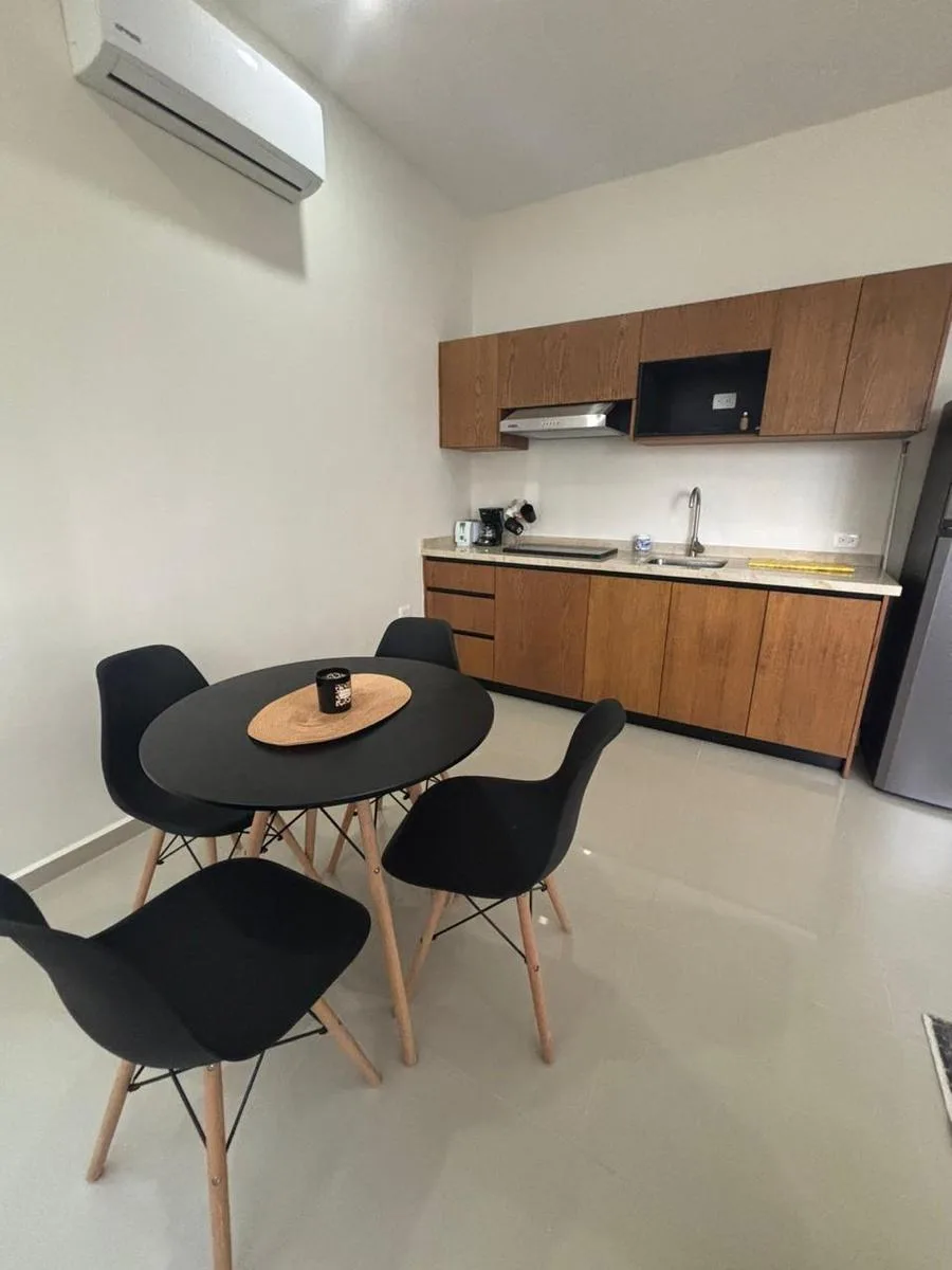 Fully Furnished New Apartment Steps from 5th Avenue with Ocean Views in Playa del Carmen Center